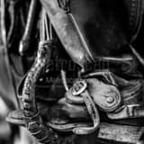 Texas Cowboy Boot In Stirrup Black and White Square Texas Cowboy Boot In Stirrup black and white