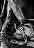 Texas Cowboy Boot In Stirrup Black and White Vertical Texas Cowboy Boot In Stirrup black and white