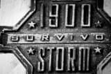 1900 Galveston Storm Survivor Marker Black and White Horizontal 1900 Galveston Storm Survivor Marker black and white