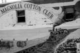 Magnolia Cotton Club Mural Black and White Horizontal Magnolia Cotton Club Mural black and white