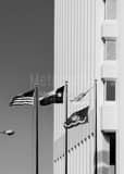 One Moody Plaza Black and White Vertical One Moody Plaza black and white