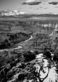 Colorado River In Grand Canyon Black and White Vertical Colorado River In Grand Canyon black and white