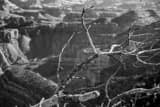 Dead Trees South Rim Grand Canyon Black and White Horizontal Dead Trees South Rim Grand Canyon black and white