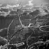 Dead Trees South Rim Grand Canyon Black and White Square Dead Trees South Rim Grand Canyon black and white