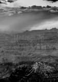 Snow Falls On North Rim Grand Canyon Black and White Vertical Snow Falls On North Rim Grand Canyon black and white