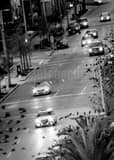 Birds Fly Over La Branch Street Black and White Vertical Birds Fly Over La Branch Street black and white
