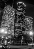 Downtown Houston Texas Black and White Vertical Downtown Houston Texas black and white