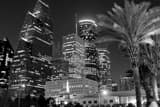 Horse Carriage Downtown Houston Skyline Black and White Horizontal Horse Carriage Downtown Houston Skyline black and white