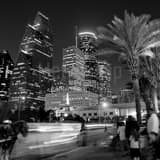Horse Carriage Downtown Houston Skyline Black and White Square Horse Carriage Downtown Houston Skyline black and white