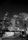 Horse Carriage Downtown Houston Skyline Black and White Vertical Horse Carriage Downtown Houston Skyline black and white