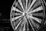 Houston Aquarium Ferris Wheel Black and White Horizontal Houston Aquarium Ferris Wheel black and white