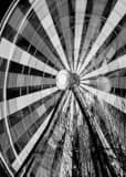 Houston Aquarium Ferris Wheel Black and White Vertical Houston Aquarium Ferris Wheel black and white