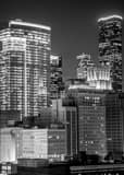 Houston Cityscape Black and White Vertical Houston Cityscape black and white