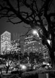 Houston Skyline From Root Square Black and White Vertical Houston Skyline From Root Square black and white