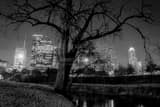 Houston Skyline In Buffalo Bayou Black and White Horizontal Houston Skyline In Buffalo Bayou black and white