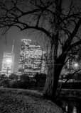 Houston Skyline In Buffalo Bayou Black and White Vertical Houston Skyline In Buffalo Bayou black and white