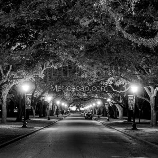 Matte Black MDF Framed Black and White Houston Photograph: Rice University in a Square Matte Black MDF Frame