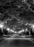 Rice University Black and White Vertical Rice University black and white