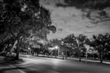 Rice University Main And Fanin Intersection Black and White Horizontal Rice University Main And Fanin Intersection black and white
