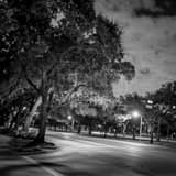Rice University Main And Fanin Intersection Black and White Square Rice University Main And Fanin Intersection black and white