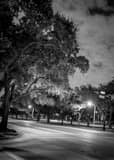 Rice University Main And Fanin Intersection Black and White Vertical Rice University Main And Fanin Intersection black and white