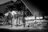 Toyota Center Black and White Horizontal Toyota Center black and white