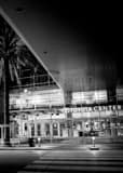Toyota Center Black and White Vertical Toyota Center black and white