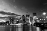 Jacksonville Skyline Black and White Horizontal Jacksonville Skyline black and white