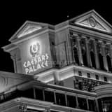 Caesars Palace Black and White Square Caesars Palace black and white
