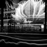 Flamingo Hotel Black and White Square Flamingo Hotel black and white