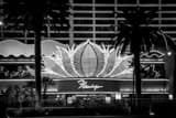 Flamingo Hotel Sign Black and White Horizontal Flamingo Hotel Sign black and white