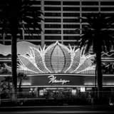 Flamingo Hotel Sign Black and White Square Flamingo Hotel Sign black and white
