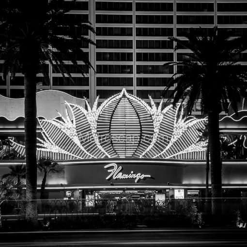 Matte Black MDF Framed Black and White Las Vegas Photograph: The Main Entrance to the Flamingo Hotel and Casino Flanked by Palm Trees in a Square Matte Black MDF Frame