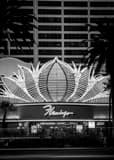 Flamingo Hotel Sign Black and White Vertical Flamingo Hotel Sign black and white