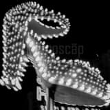 Vegas High Heel Sign Black and White Square Vegas High Heel Sign black and white