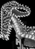Vegas High Heel Sign Black and White Vertical Vegas High Heel Sign black and white