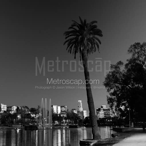 Matte Black MDF Framed Black and White Los Angeles Photograph: A Lone Palm Tree Above the Los Angeles Skyline in a Square Matte Black MDF Frame