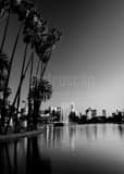 Los Angeles Skyline Echo Park Glendale Blvd Black and White Vertical Los Angeles Skyline Echo Park Glendale Blvd black and white