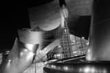 Walt Disney Concert Hall Downtown LA Black and White Horizontal Walt Disney Concert Hall Downtown LA black and white