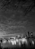 Downtown Louisville Skyline Black and White Vertical Downtown Louisville Skyline black and white