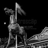 Richland Carousel Park Black and White Square Richland Carousel Park black and white
