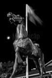 Richland Carousel Park Black and White Vertical Richland Carousel Park black and white