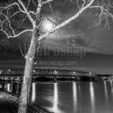Williamstown Bridge Black and White Square Williamstown Bridge black and white