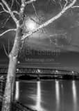 Williamstown Bridge Black and White Vertical Williamstown Bridge black and white