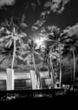 Bayside Sign Black and White Vertical Bayside Sign black and white