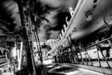 Clevelander South Beach Black and White Horizontal Clevelander South Beach black and white