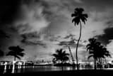 Downtown Miami Black and White Horizontal Downtown Miami black and white