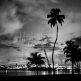 Downtown Miami Black and White Square Downtown Miami black and white