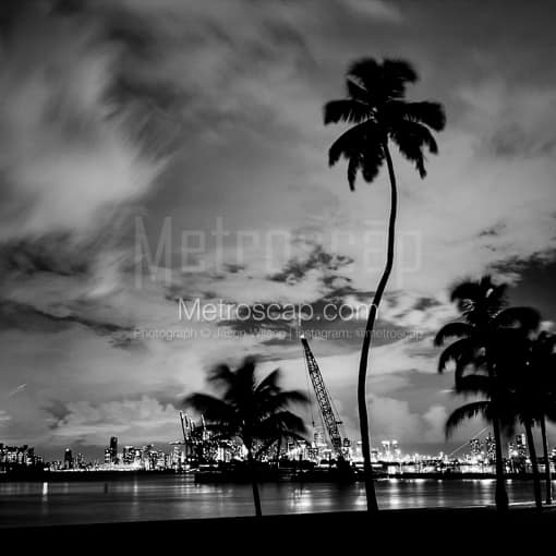 Matte Black MDF Framed Black and White Miami Photograph: Downtown Miami from South Pointe Park in a Square Matte Black MDF Frame