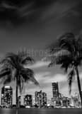 Downtown Miami Skyline Night Black and White Vertical Downtown Miami Skyline Night black and white